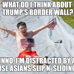 Jia's 4th of July Slip N' Slide | WHAT DO I THINK ABOUT TRUMP'S BORDER WALL? DUNNO, I'M DISTRACTED BY ALL THOSE ASIANS SLIP N' SLIDING IN! | image tagged in jia's 4th of july slip n' slide | made w/ Imgflip meme maker