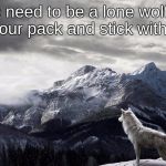 Lone Wolf | No need to be a lone wolf.    Find your pack and stick with them. | image tagged in lone wolf | made w/ Imgflip meme maker