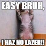 Cats  | EASY BRUH, I HAZ NO LAZER!! | image tagged in cats | made w/ Imgflip meme maker