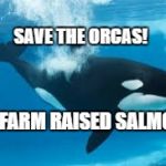Shamu | SAVE THE ORCAS! EAT FARM RAISED SALMON! | image tagged in shamu | made w/ Imgflip meme maker