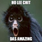 Holy Crap Monkey | HO LEE CHIT; DAS AMAZING | image tagged in holy crap monkey | made w/ Imgflip meme maker