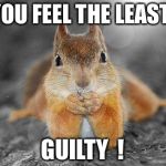 Squirrel therapist | DO YOU FEEL THE LEAST BIT; GUILTY  ! | image tagged in squirrel therapist | made w/ Imgflip meme maker