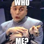 Dr Evil Cat | WHO; ME? | image tagged in dr evil cat | made w/ Imgflip meme maker