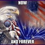 Happy July 4th Eagle | NOW; AND FOREVER | image tagged in happy july 4th eagle | made w/ Imgflip meme maker