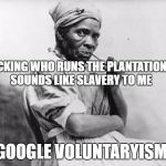 slave lady | PICKING WHO RUNS THE PLANTATIONS... SOUNDS LIKE SLAVERY TO ME; GOOGLE VOLUNTARYISM | image tagged in slave lady | made w/ Imgflip meme maker