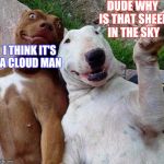 selfie dogs | DUDE WHY IS THAT SHEEP IN THE SKY; I THINK IT'S A CLOUD MAN | image tagged in selfie dogs | made w/ Imgflip meme maker