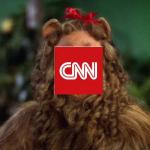 CNN LION