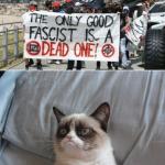 Grumpy cat vs antifa  meme