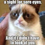 Coyote ugly owner, I'd wager. | You're certainly a sight for sore eyes. And if I didn't have to look at you, they wouldn't be sore! | image tagged in angry cat,memes,meme | made w/ Imgflip meme maker