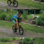 Bike accident kid, stick in wheel