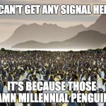 Millennial Penguins | "I CAN'T GET ANY SIGNAL HERE"; IT'S BECAUSE THOSE DAMN MILLENNIAL PENGUINS | image tagged in penguins,millennials,iphone,technology,frustration,funny meme | made w/ Imgflip meme maker
