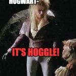 SERIOUSLY! IT'S HOGGLE! | NOW REMEMBER HOGWART-; IT'S HOGGLE! | image tagged in david bowie labyrinth | made w/ Imgflip meme maker