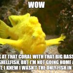 Word Play: Look At That Coral! | WOW; LOOK AT THAT CORAL WITH THAT BIG BASS. I'M NOT SHELLFISH, BUT I'M NOT GOING HOME ALONE TONIGHT. I KNEW I WASN'T THE ONLY FISH IN THE SEA | image tagged in excuse me rocks fish,fish,sea,word play,funny,memes | made w/ Imgflip meme maker