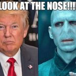 voldemort trump | LOOK AT THE NOSE!!!! | image tagged in voldemort and danold | made w/ Imgflip meme maker