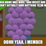 member berries | MEMBER WHEN ANIME WAS MORE THAN INCEST AND A BUNCH OF FILLER THAT DIDN'T ACTUALLY HAVE ANYTHING TO DO WITH THE ARC? OOHH YEAA, I MEMBER | image tagged in member berries | made w/ Imgflip meme maker