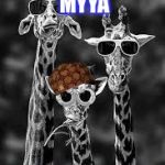 Julie's giraffes | HAPPY BIRTHDAY MYYA; YOU LEVELED UP | image tagged in julie's giraffes,scumbag | made w/ Imgflip meme maker