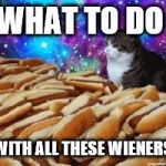 space cats and hot dogs | WHAT TO DO; WITH ALL THESE WIENERS | image tagged in space cats and hot dogs | made w/ Imgflip meme maker