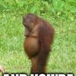 Sad Monkey | WHEN YOUR MATES ARE DOING THE NIGHT; AND YOU'RE NOT...... | image tagged in sad monkey | made w/ Imgflip meme maker