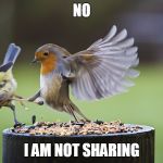 Not Sharing Flying Kick Bird | NO; I AM NOT SHARING | image tagged in not sharing flying kick bird | made w/ Imgflip meme maker