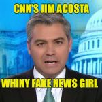 Acosta | CNN'S JIM ACOSTA; WHINY FAKE NEWS GIRL | image tagged in acosta | made w/ Imgflip meme maker