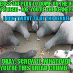 and you thought it came naturally? | HERE'S THE PLAN TO DUMP ON THE OLD MAN'S HEAD - JOE, YOU'RE THE KERNEL HERE; I DON'T WANT TO BE THE KERNEL; OKAY, SCREW IT, WHATEVER, YOU'RE THIS BREAD CRUMB . . . | image tagged in conspiring pigeons,memes,pigeons,birds | made w/ Imgflip meme maker