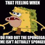 Spongegar | THAT FEELING WHEN; YOU FIND OUT THE SPONGEGAR MEME ISN'T ACTUALLY SPONGEGAR | image tagged in spongegar,primitive sponge | made w/ Imgflip meme maker