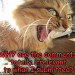 Anyone else find this annoying? | WHY are the comments totally irrelevant to what I submitted? | image tagged in angry cat online,comments,memes | made w/ Imgflip meme maker