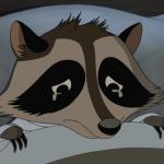 Sad_Racoon