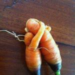 Carrots in love