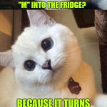 I Love Mice ♡  | WHY DID THE CAT PUT THE LETTER "M" INTO THE FRIDGE? BECAUSE IT TURNS "ICE" INTO "MICE"! | image tagged in bad pun cat,memes,cats,caturday,google images,craziness_all_the_way | made w/ Imgflip meme maker