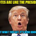 Louder, not more clever | UPVOTES ARE LIKE THE PRESIDENCY; IT'S NOT WHAT YOU SAY, IT'S WHO KNOWS YOU. | image tagged in trump stupid face,upvote,meme,clever,popularity,front page | made w/ Imgflip meme maker