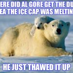 Bad Global Warming Pun Polar Bear | WHERE DID AL GORE GET THE DUMB IDEA THE ICE CAP WAS MELTING? HE JUST THAWED IT UP | image tagged in polar bears,global warming,al gore | made w/ Imgflip meme maker