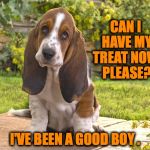 Just Try Saying No To This Little Cutie  (bet you can't!) | CAN I HAVE MY TREAT NOW, PLEASE? I'VE BEEN A GOOD BOY . | image tagged in bassett hound | made w/ Imgflip meme maker