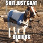 Goat with guns | SHIT JUST GOAT; SERIOUS | image tagged in goat with guns | made w/ Imgflip meme maker