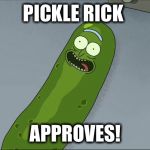 Pickle Rick | PICKLE RICK; APPROVES! | image tagged in pickle rick | made w/ Imgflip meme maker