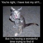 Crazy looking kitten with frame | You're right, I have lost my sh*t... But I'm having a wonderful time trying to find it! | image tagged in crazy looking kitten with frame | made w/ Imgflip meme maker