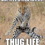 Leopard Dancing | WENT TO A GYM TO ASK FOR A SPOT; THUG LIFE | image tagged in leopard dancing,memes,thug life,funny | made w/ Imgflip meme maker