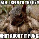 Muscle squirrel | YEAH, I BEEN TO THE GYM. WHAT ABOUT IT PUNK? | image tagged in muscle squirrel | made w/ Imgflip meme maker