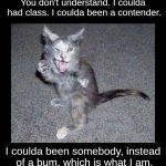 Crazy looking kitten with frame | You don't understand. I coulda had class. I coulda been a contender. I coulda been somebody, instead of a bum, which is what I am. | image tagged in crazy looking kitten with frame | made w/ Imgflip meme maker