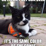 SAFETY CAT | THEY MADE ME WEAR THIS SO I WON'T GET RUN OVER; IT'S THE SAME COLOR AS THE CONES THEY'RE RUNNING OVER | image tagged in safety cat | made w/ Imgflip meme maker