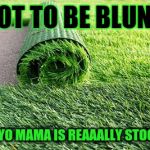 Yo Mama Blunters... | NOT TO BE BLUNT, BUT YO MAMA IS REAAALLY STOOPID! | image tagged in memes,yo mama,lol so funny,weed | made w/ Imgflip meme maker