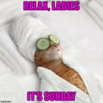 Cat spa sunday | RELAX, LADIES; IT'S SUNDAY | image tagged in cat spa sunday | made w/ Imgflip meme maker
