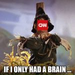 Declares war on the Internet... | IF I ONLY HAD A BRAIN ... | image tagged in wizard of oz scarecrow which way,cnn,cnn sucks,cnn blackmail,cnnblackmail | made w/ Imgflip meme maker