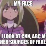 Mirabelle Graceland blank stare | MY FACE; WHEN I LOOK AT CNN, ABC,MSNBC, OR OTHER SOURCES OF FAKE NEWS | image tagged in mirabelle graceland blank stare | made w/ Imgflip meme maker