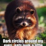 racoon walk | Things I have in common with a racoon. Dark circles around my eyes,  eats junk, a little chubby,  cute, I will fight you,  possibly rabid. | image tagged in racoon walk | made w/ Imgflip meme maker
