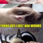 Bad Pun Grumpy Cat | THE OTHER DAY I THOUGHT I WAS PREGNANT; TURNS OUT I JUST HAD WORMS | image tagged in bad pun grumpy cat | made w/ Imgflip meme maker