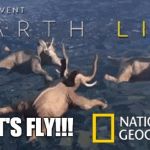 LET'S FLY!!! | image tagged in elephant,natgeo | made w/ Imgflip meme maker