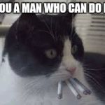 Cat smoking  | GET YOU A MAN WHO CAN DO BOTH | image tagged in cat smoking | made w/ Imgflip meme maker