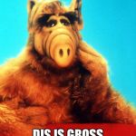 Gordon  | DIS IS GROSS | image tagged in alf the alien | made w/ Imgflip meme maker