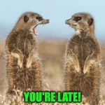 Late For Work | YOU'RE LATE! | image tagged in meerkats | made w/ Imgflip meme maker